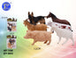 Conjunto de 6 Animais da Quinta