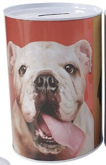 Mealheiro de Metal Animais 10 x 15 cm - Bulldog