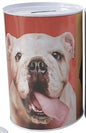 Mealheiro de Metal Animais 10 x 15 cm - Bulldog