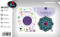 Livro para Colorir Mandalas