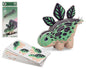 Puzzle 3D de Cartão Estegossauro 18 x 8 Cm
