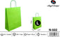 Pack 25 Sacos de Papel Verde-Lima L 32 x 40 x 14 Cm
