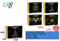 Pack 12 Sacos de Presente de Natal Árvore Preta e Dourada 24 x 18 x 10 Cm