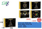 Pack 12 Sacos de Presente de Natal Árvore Preta e Dourada 39 x 30 x 11 Cm