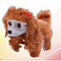 Cão de Peluche com Flores e Música - Castanho