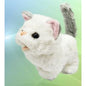 Gatinho de Peluche com Música - Branco e Cinzento
