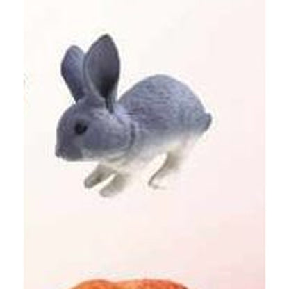 Animal Elástico - Coelho