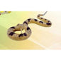 Serpente Elástica Realista - Cascavel