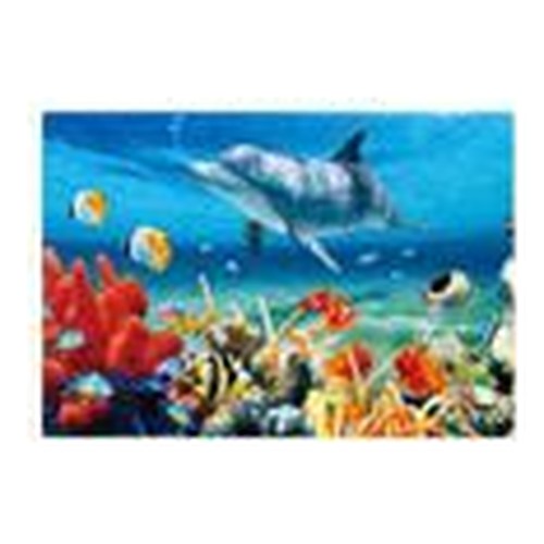 Puzzle Animais Marinhos 24 peças - Recife de Coral